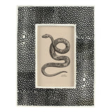 Picture Frame, Black Chagrin 4x6