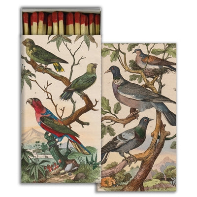 Match - Pigeons & Parakeets