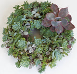 Living Wreath Round