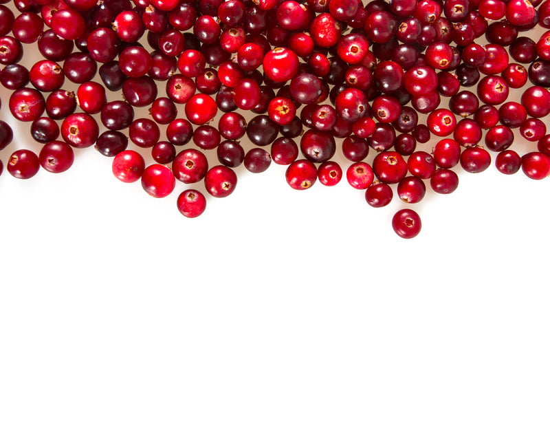 Cranberry Conserve - 6 oz.