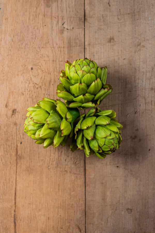 6" Green Artichoke