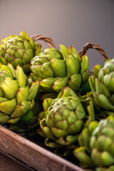 6" Green Artichoke