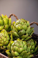 6" Green Artichoke