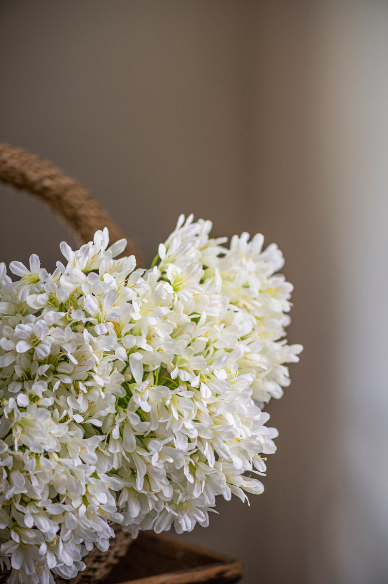 40 Inch White Agapanthus Stem