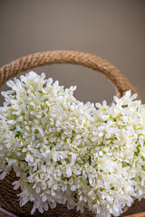 40 Inch White Agapanthus Stem