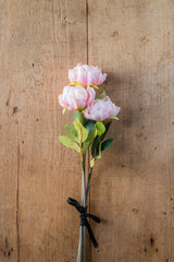 20" Pink Real Touch Peony Stem