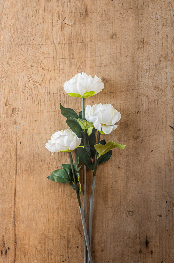 20" White Real Touch Peony Stem