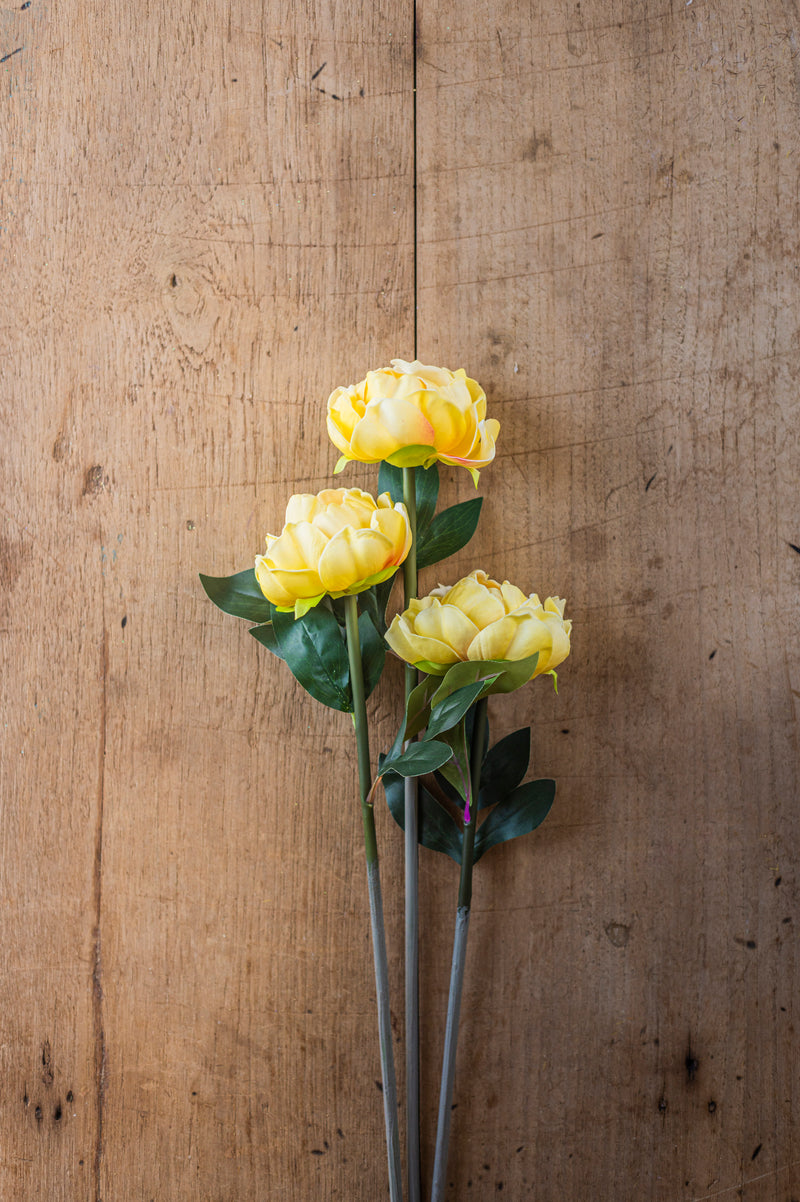 20" Yellow Real Touch Peony