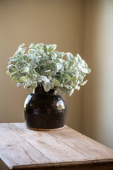 20 Inch Lambs Ear Stem