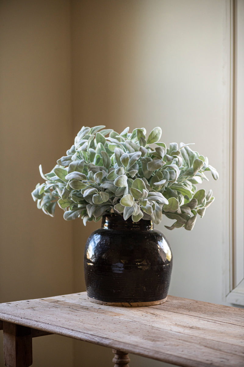 20 Inch Lambs Ear Stem