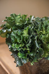 10" Real Touch Kale Bush