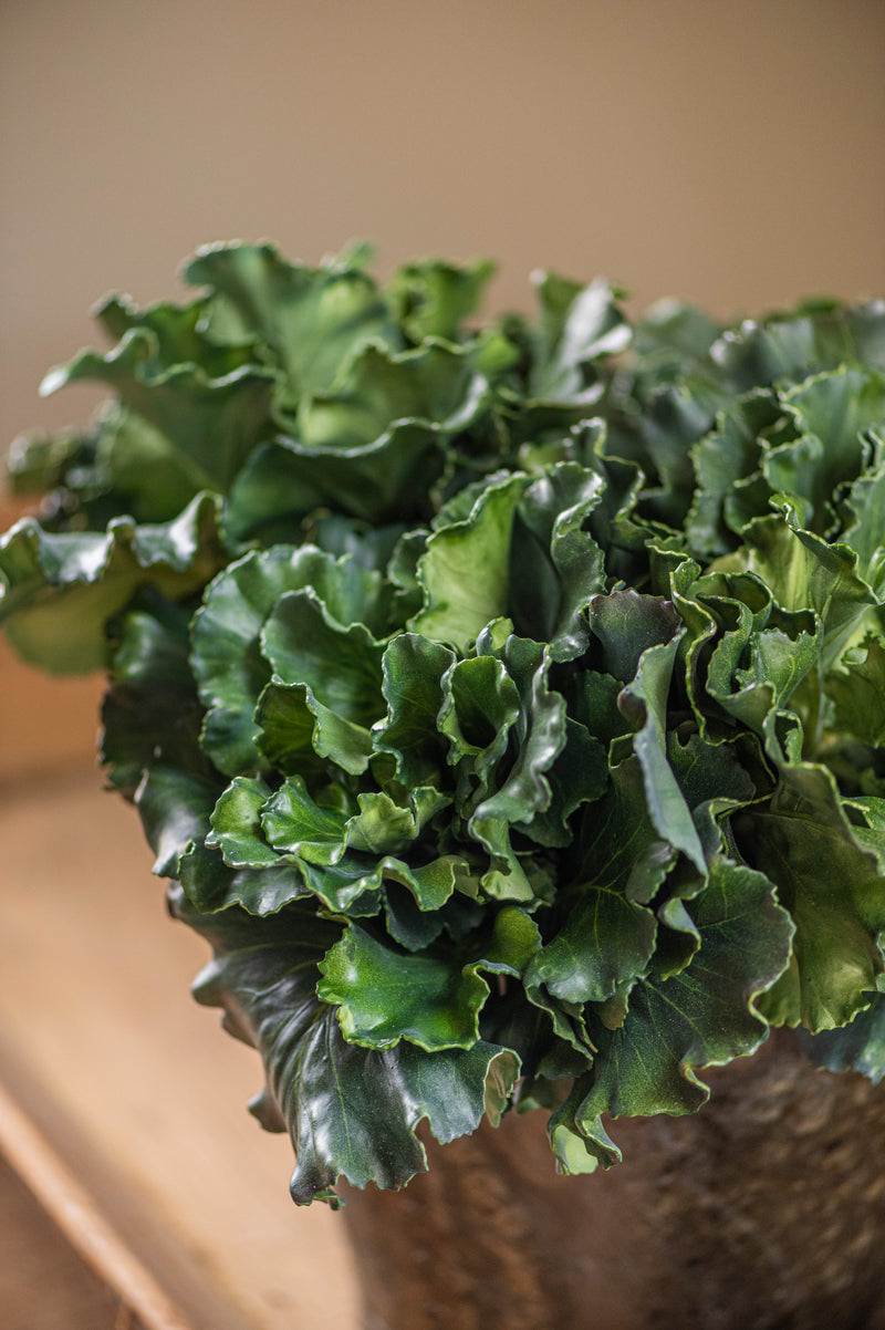 10" Real Touch Kale Bush