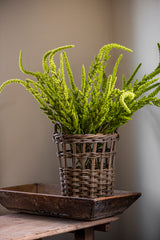 37 Inch Green Amaranthus Stem