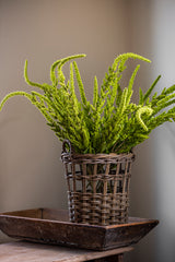 37 Inch Green Amaranthus Stem