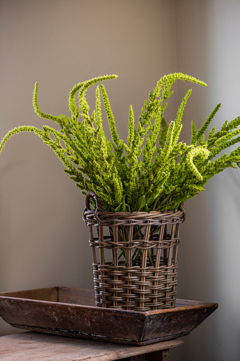 37 Inch Green Amaranthus Stem
