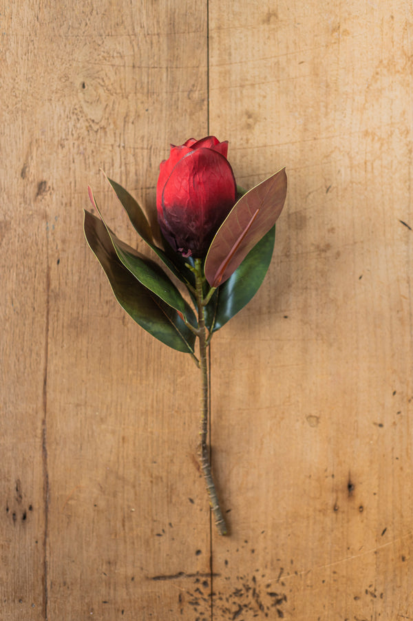 17" Burgundy Magnolia Stem