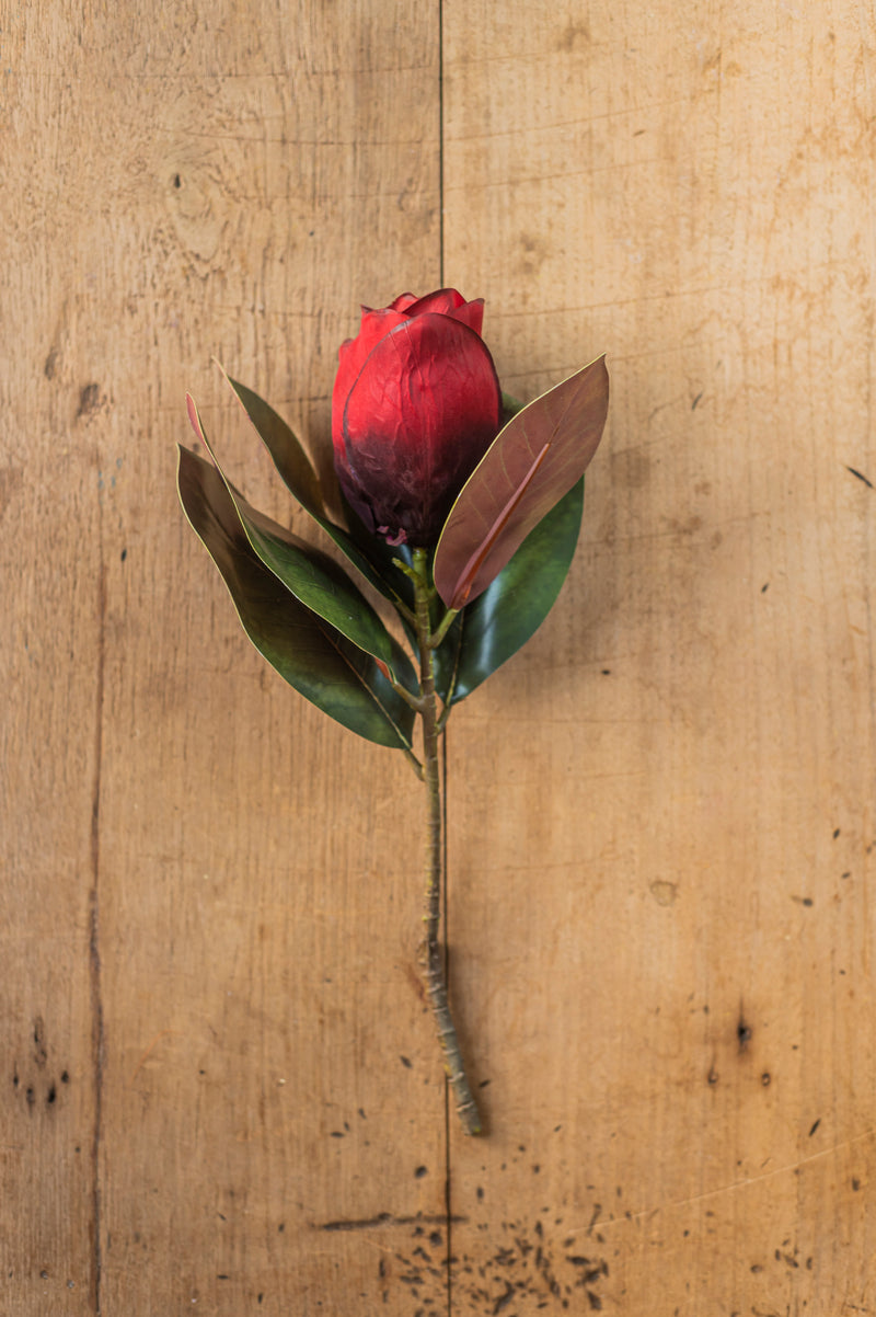 17" Burgundy Magnolia Stem