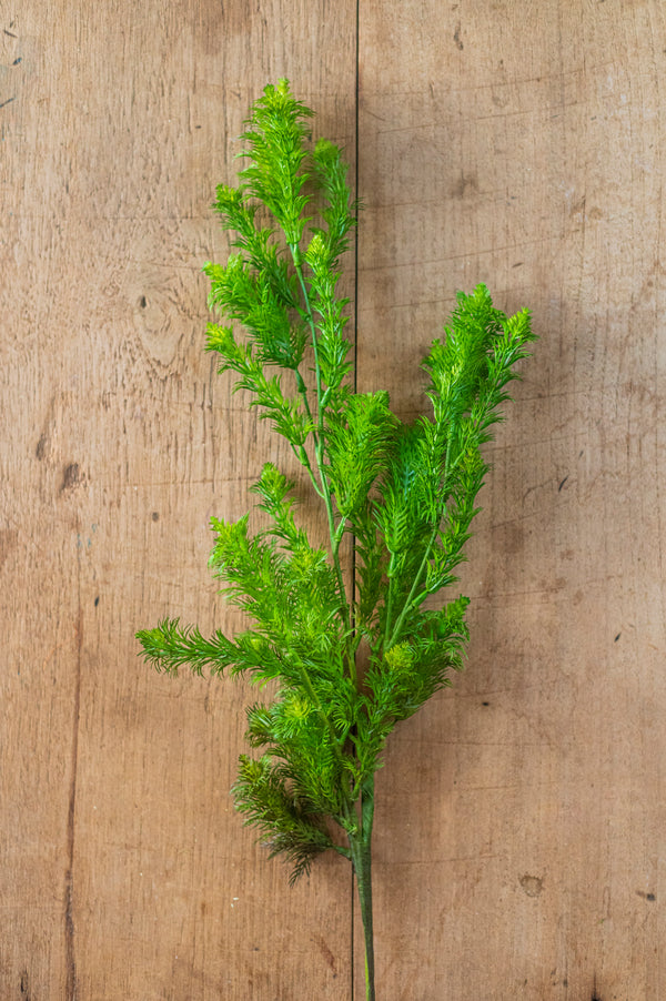 36" Dill Spray