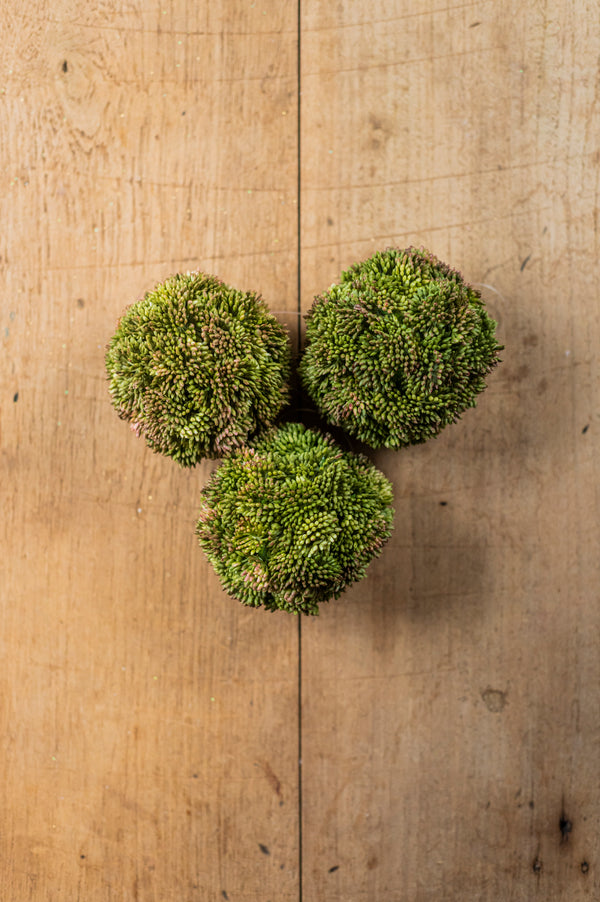 4" Dark Green Sedum Ball