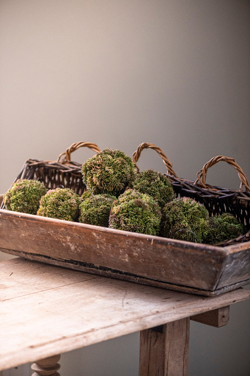4" Dark Green Sedum Ball