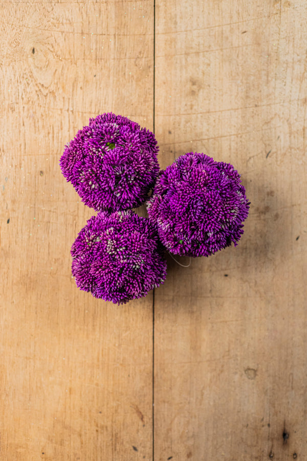 4" Dark Purple Sedum Ball