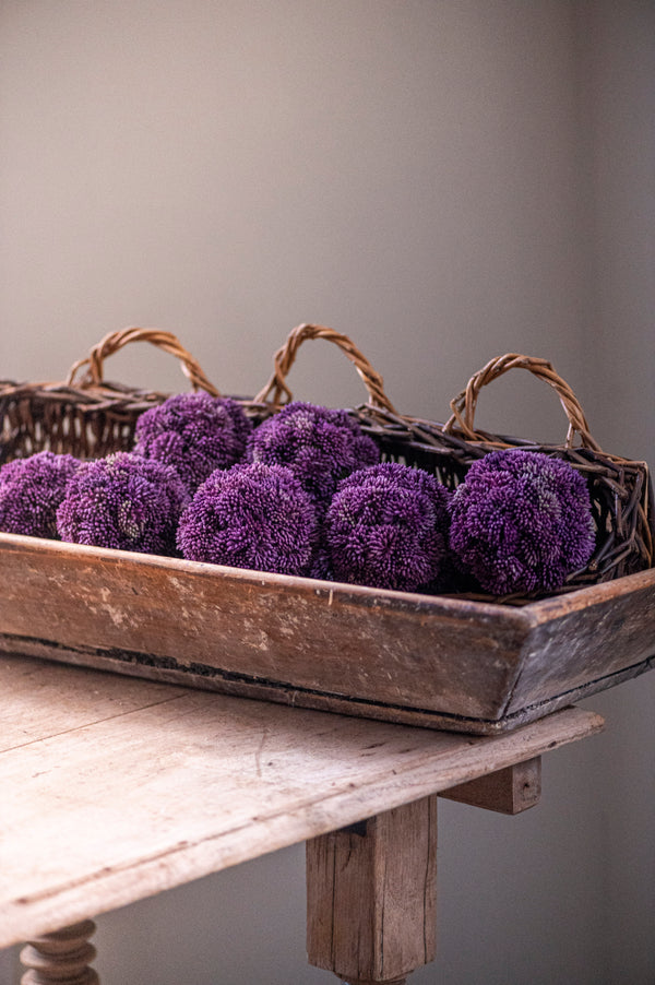 4" Dark Purple Sedum Ball