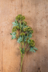 28"Dark Green Sedum Stem