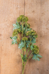 28"Dark Green Sedum Stem