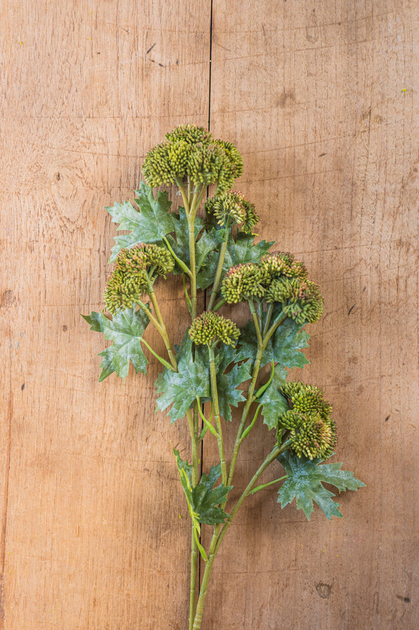 28"Dark Green Sedum Stem