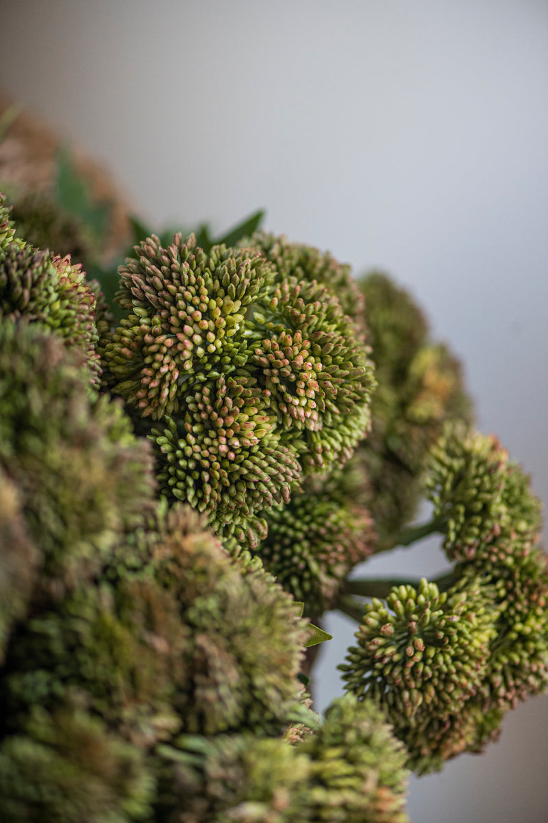 28"Dark Green Sedum Stem