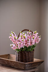 20.5" Pink Snapdragon Flower Stem
