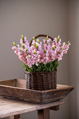 20.5" Pink Snapdragon Flower Stem