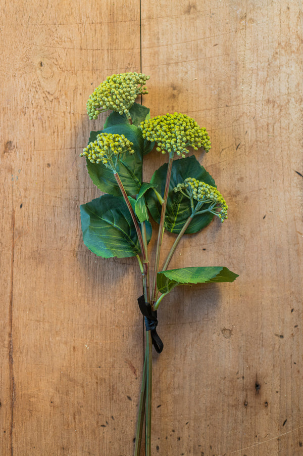 23" Green Hydrangea Buds Stem
