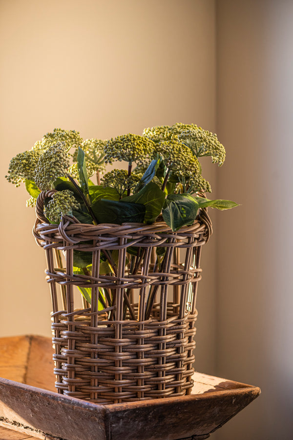 23" Green Hydrangea Buds Stem