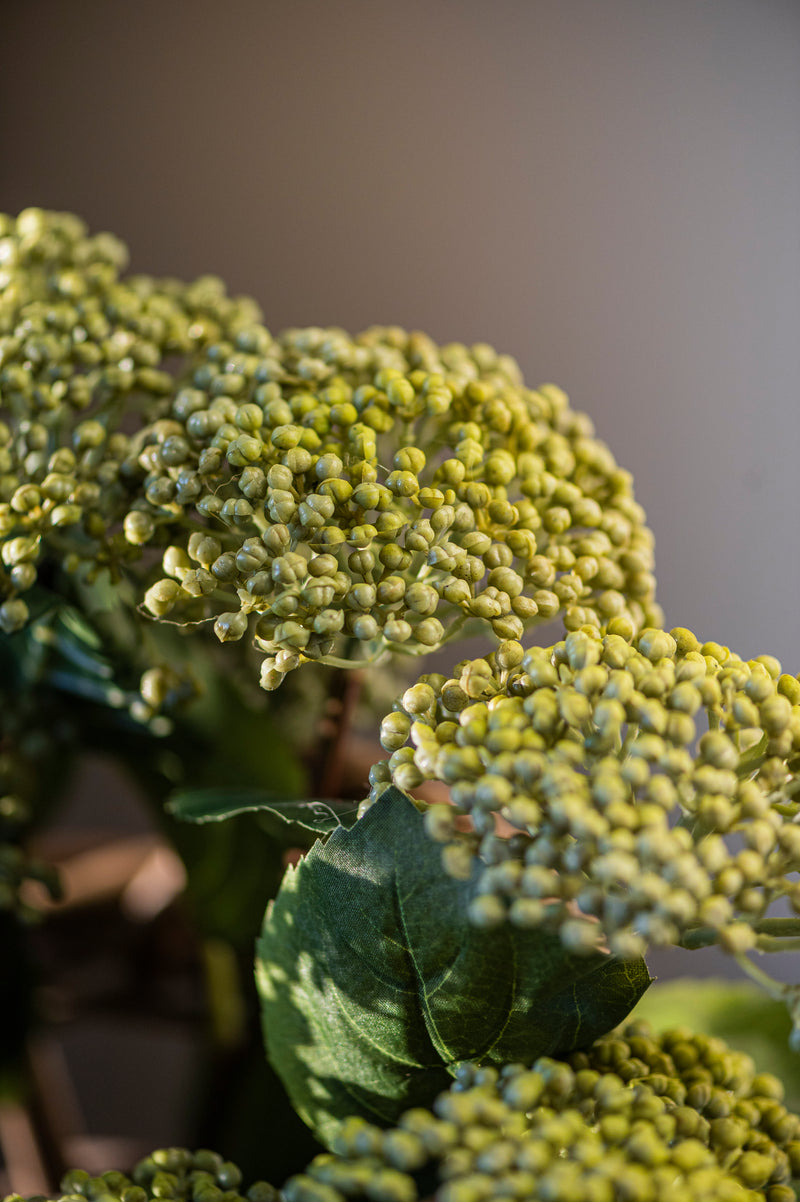 23" Green Hydrangea Buds Stem