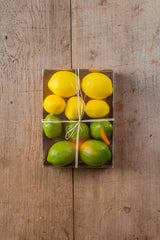 7.5" Box of 10 Mixed 2.5 Inch Lemons & Limes