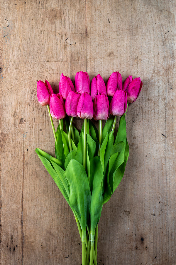 26.75" Fuchsia Silk w/Real Touch Single Tulip Stem