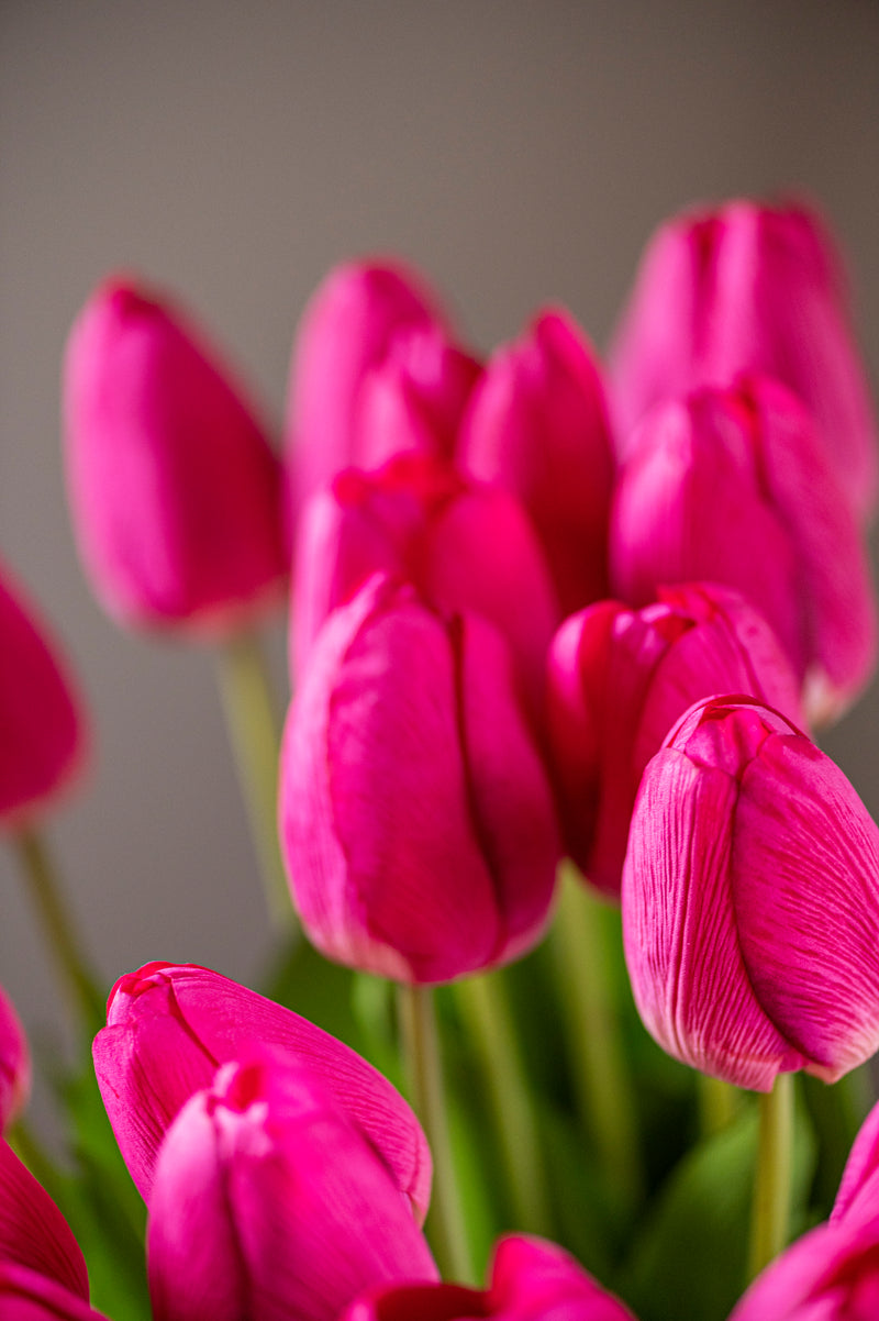 26.75" Fuchsia Silk w/Real Touch Single Tulip Stem