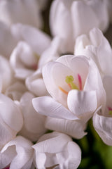 27" White Silk w/Real Touch Single Tulip Stem