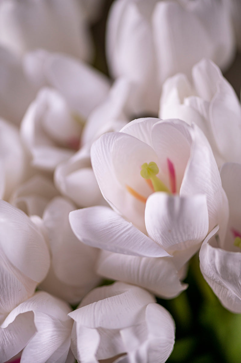 27" White Silk w/Real Touch Single Tulip Stem
