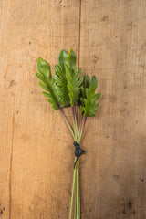 19" Real Touch Split Leaf Philodendron Bundle (5 Stems)