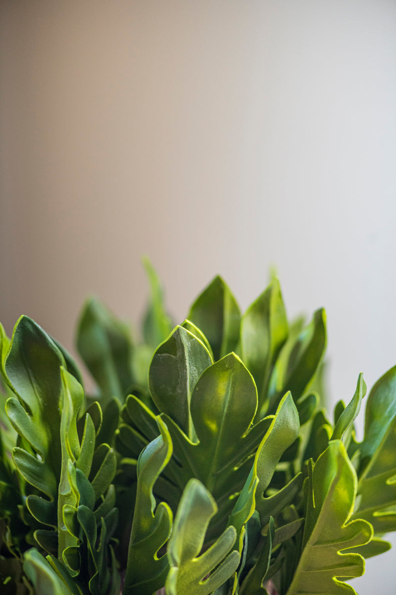 19" Real Touch Split Leaf Philodendron Bundle (5 Stems)