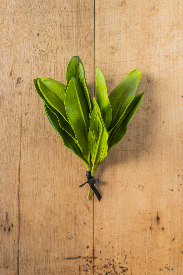 13" Real Touch 5 Orchid Leaves Stem