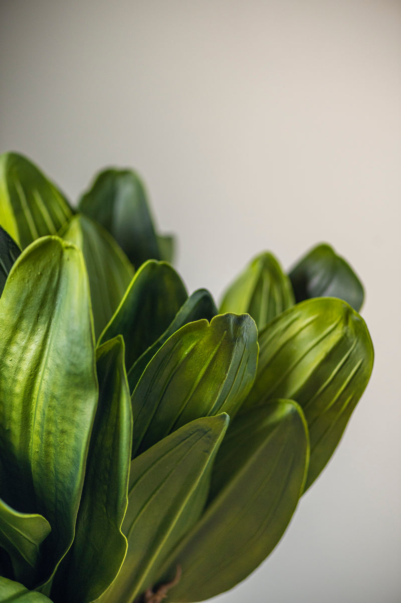 13" Real Touch 5 Orchid Leaves Stem