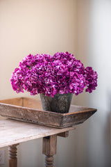 20 Inch Purple Real Touch Hydrangea Spray
