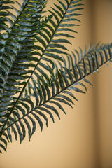 36 Inch Real Touch Boston Fern Stem