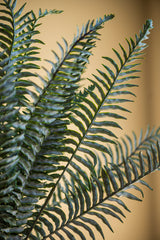 36 Inch Real Touch Boston Fern Stem