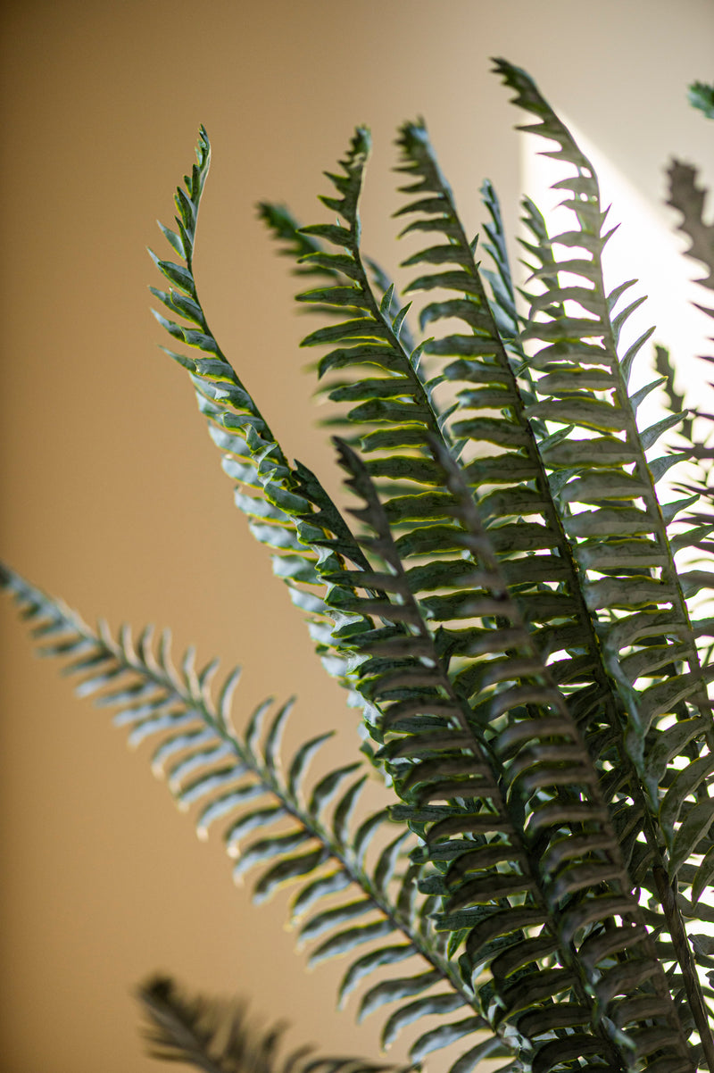 36 Inch Real Touch Boston Fern Stem