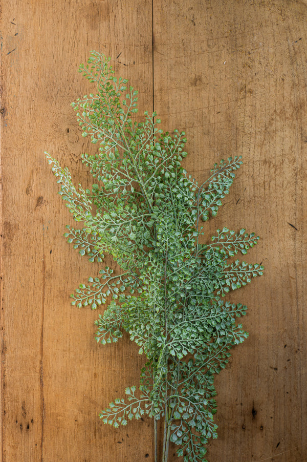 36" Real Touch Adiantum Fern Stem
