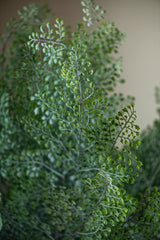 36" Real Touch Adiantum Fern Stem